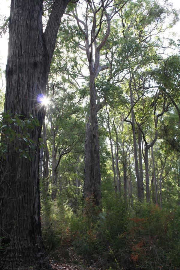 Wellington Forest Cottages ภายนอก รูปภาพ