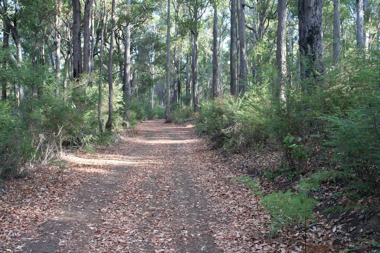 Wellington Forest Cottages ภายนอก รูปภาพ
