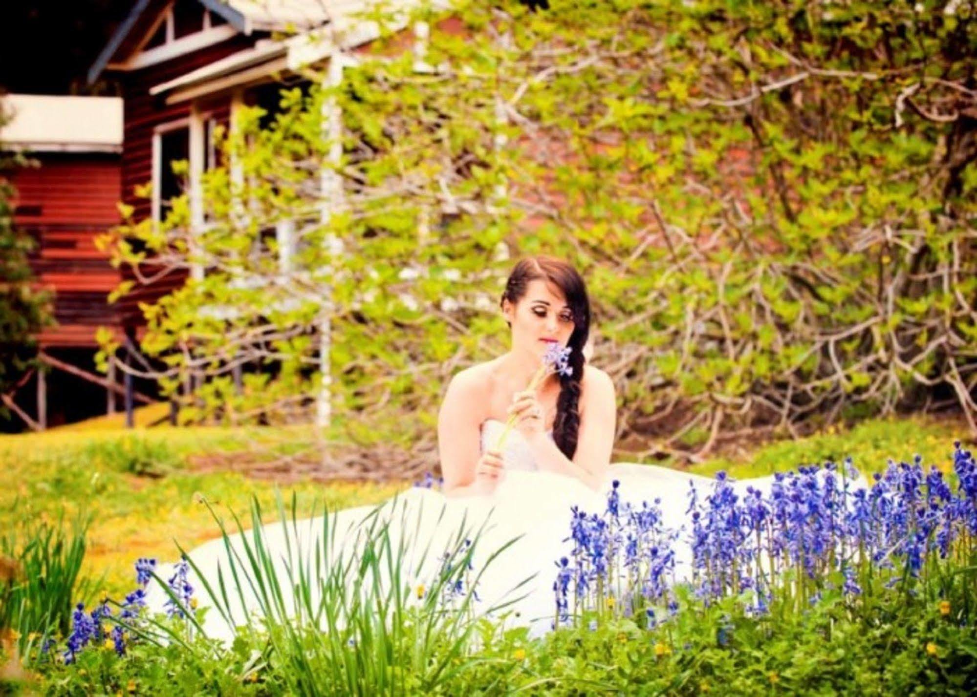 Wellington Forest Cottages ภายนอก รูปภาพ